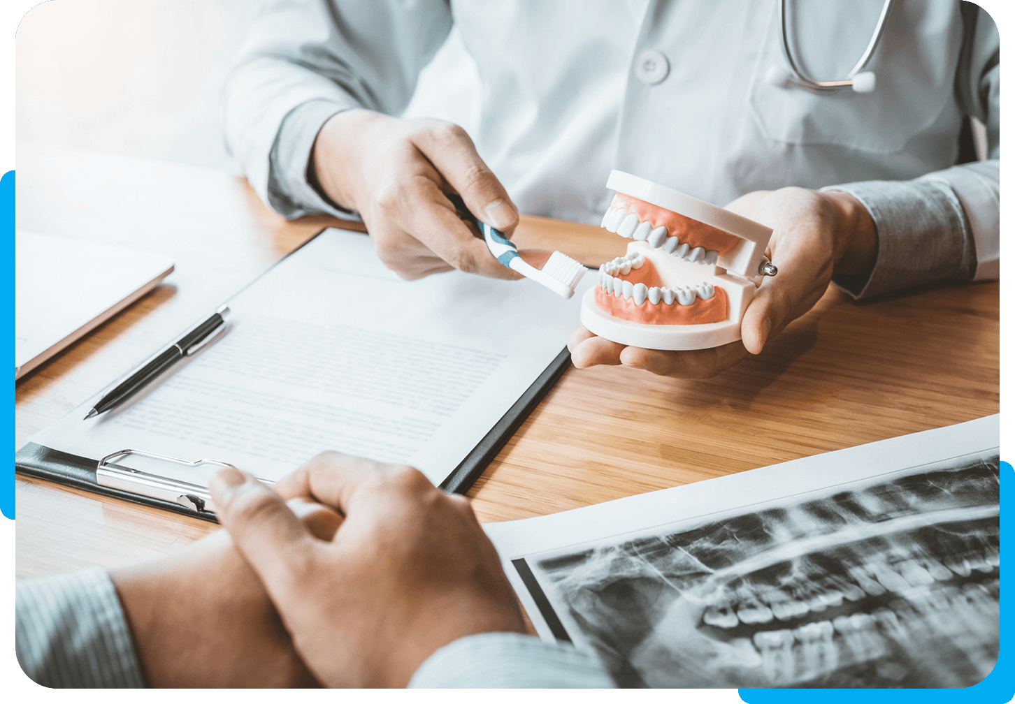 Dental consultation with tooth model